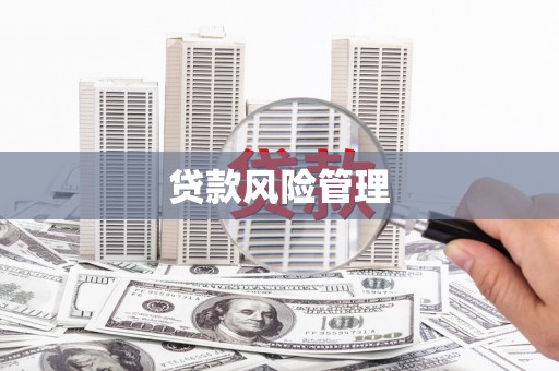 图木舒克贷款风险管理
