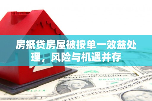 宝应县房抵贷房屋被按单一效益处理，风险与机遇并存